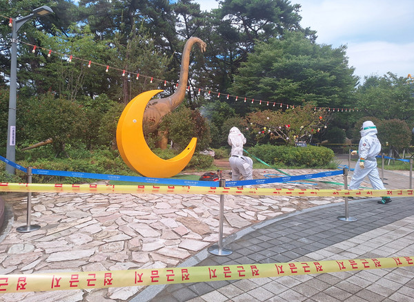 Schar von Hornissen sticht 15 Touristen bei Seilbahn in Busan, Südkorea 케이블카 타러 갔다 말벌 떼 ‘날벼락…부산 송도서 관광객 15명 쏘여.jpg